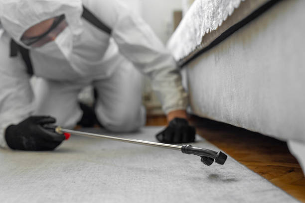 Professional Termite Control technician working in Eddy County County, NM